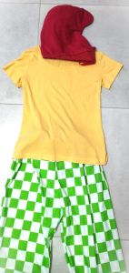 Kids Costumes to Hire - Sam I Am - CHILD